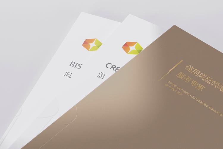 深圳市金融联信息咨询画册&产品画册